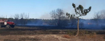 Килийский район. Пожарные ликвидировали возгорание сухой травы